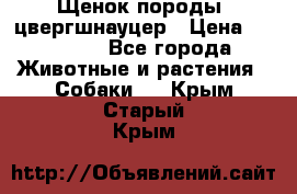 Щенок породы  цвергшнауцер › Цена ­ 30 000 - Все города Животные и растения » Собаки   . Крым,Старый Крым